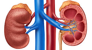 Sri Santhi Hospitals